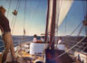 Northwind Sails