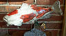 Raku Koi Fish