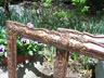China Trade Frames, Pair, Detail